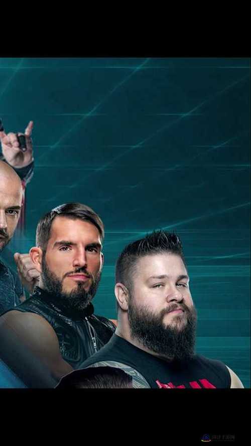 jealousvue日本wwe极品版