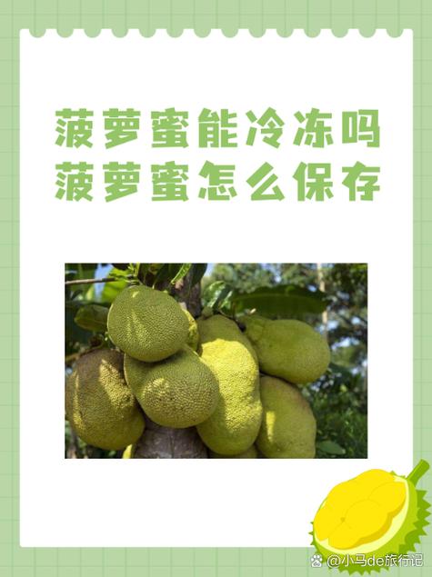 菠萝蜜国际入口1最新版