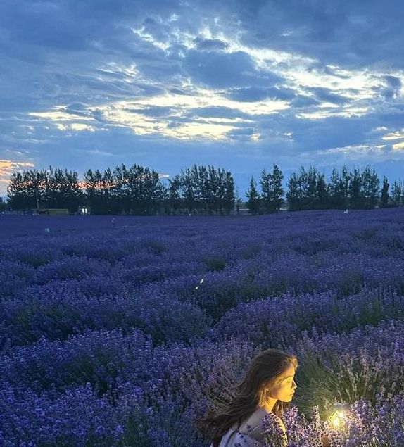 薰衣草研究所新版