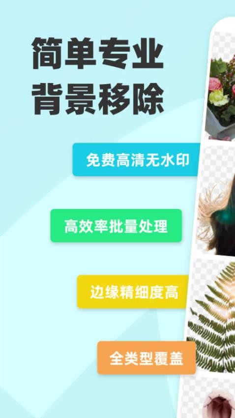 椰子设计官方版