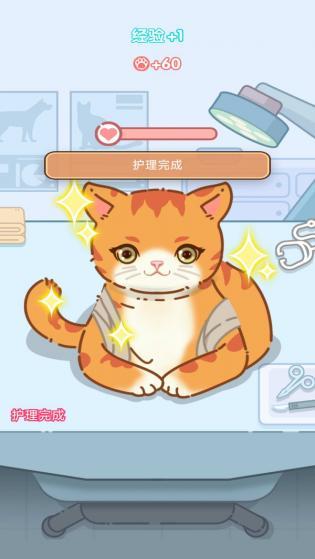 养成真的难安卓