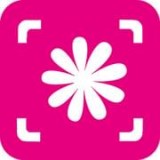 植物拍照识别最新版