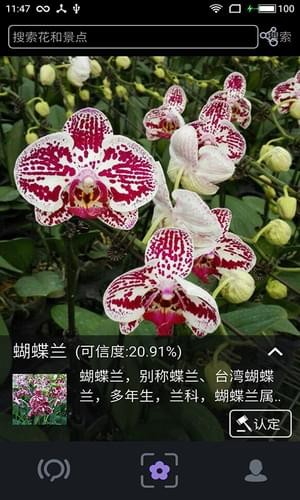 植物拍照识别最新版