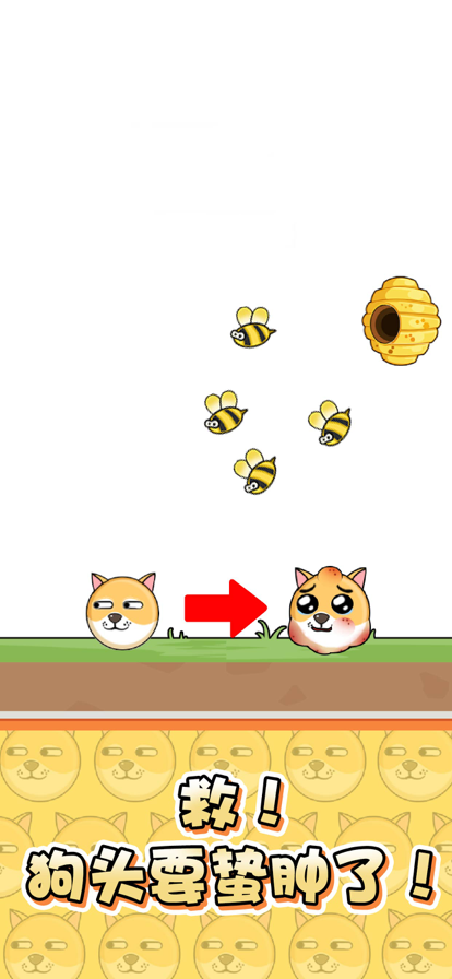 我的狗狗手机版