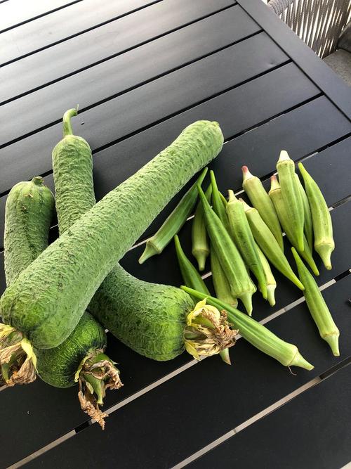 丝瓜草莓秋葵污旧版