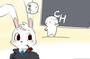 英语老师的兔子又大又好吃