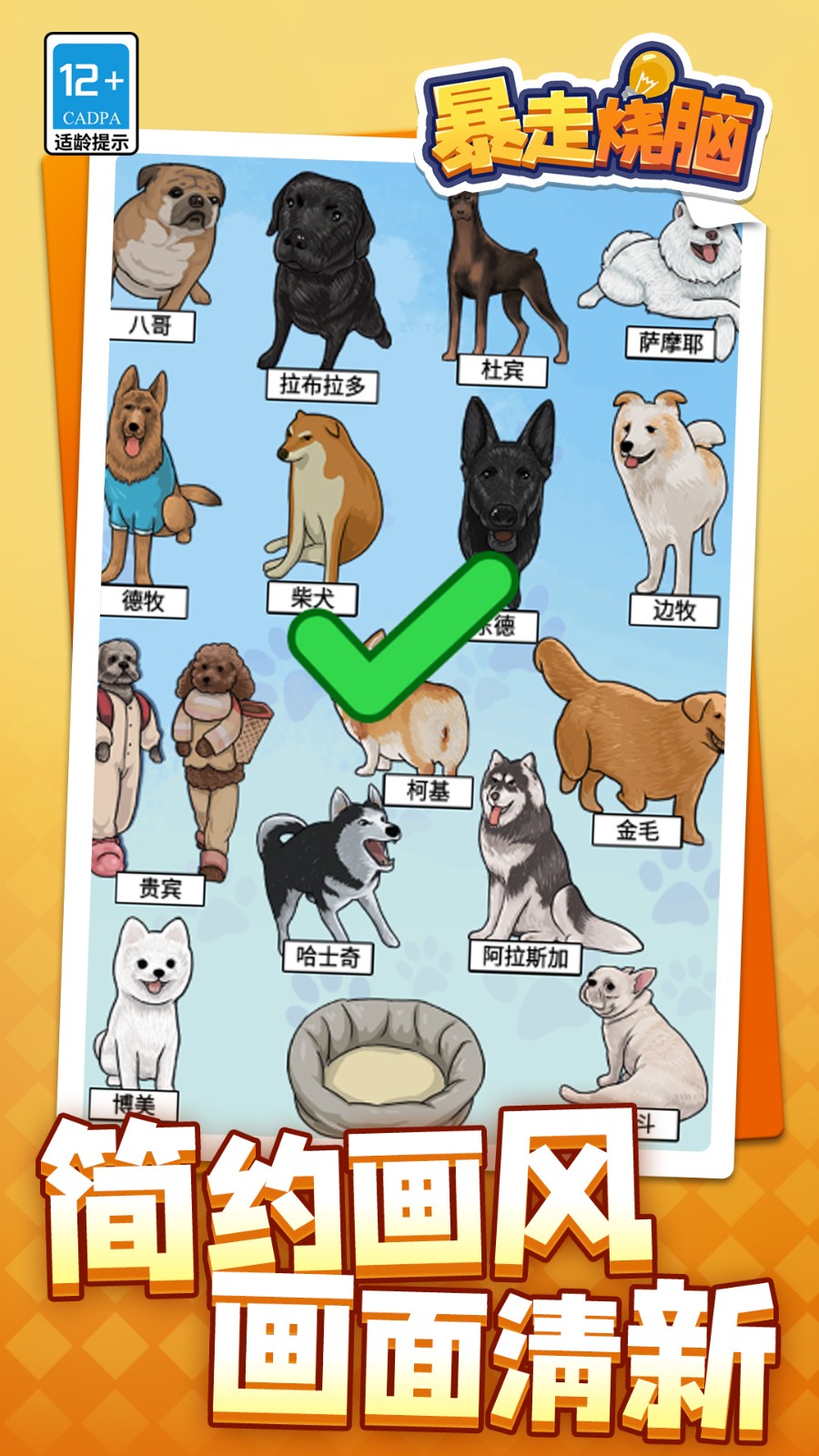 暴走烧脑付费版