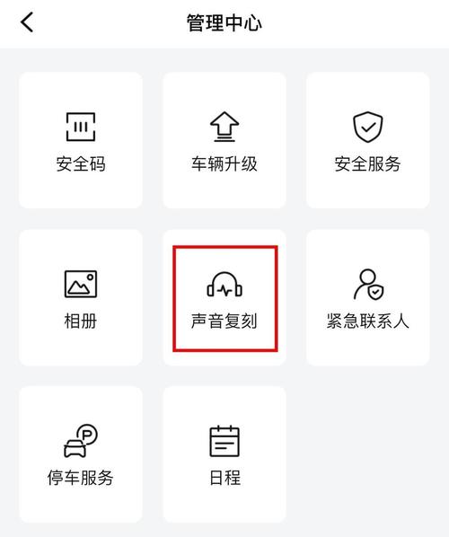 开车视频疼痛有声音免费软件app