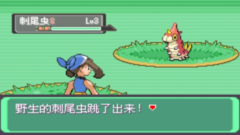 口袋妖怪暗之冰花中文版