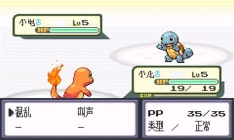 口袋妖怪暗之冰花中文版