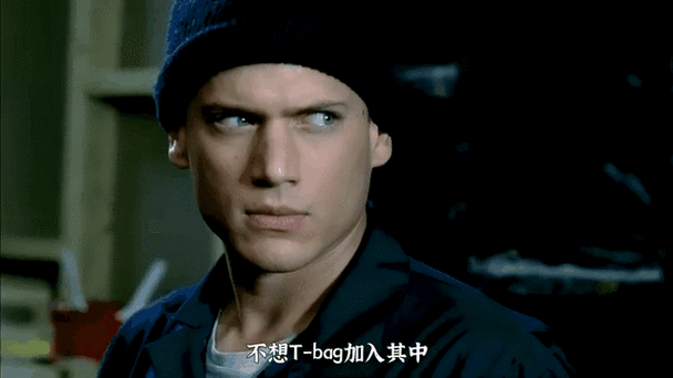 越狱第一季全集下载