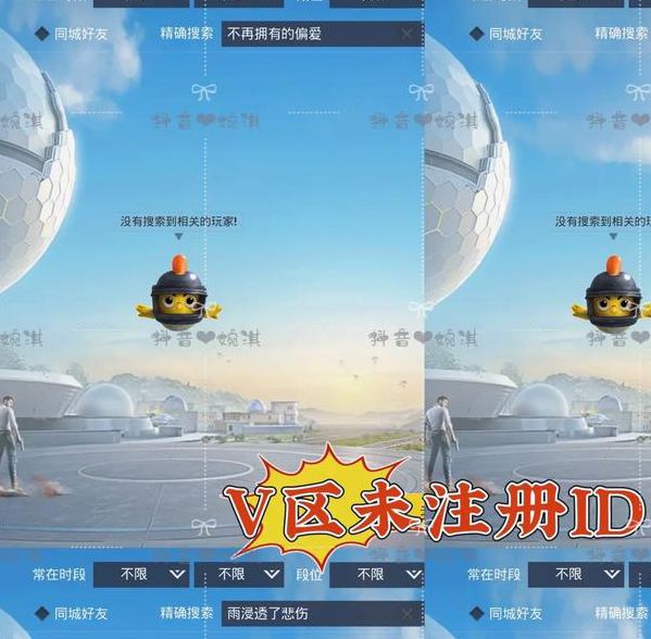 视频区图片区文字区