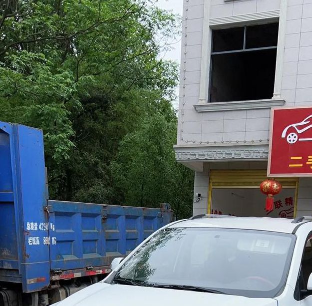 风行视频免费版