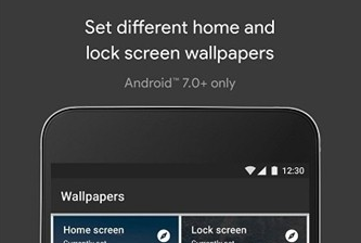 1619403557188123.png 样式与壁纸