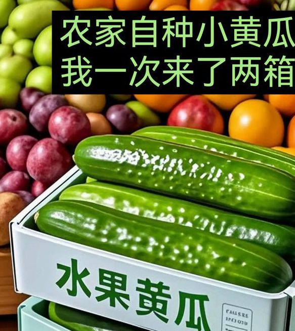 草莓黄瓜榴莲绿巨人