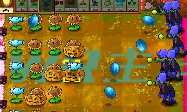 植物大战僵尸WR版主线