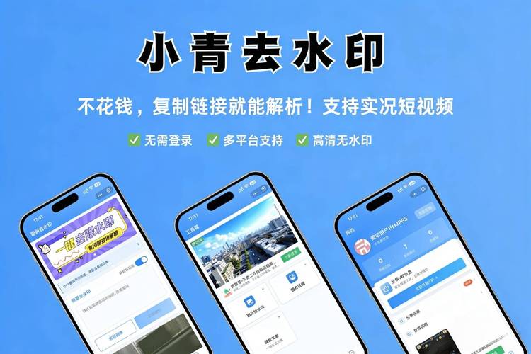 全民小视频去水印