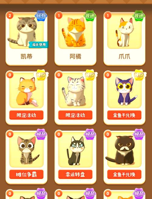 小猫猫娱乐APP