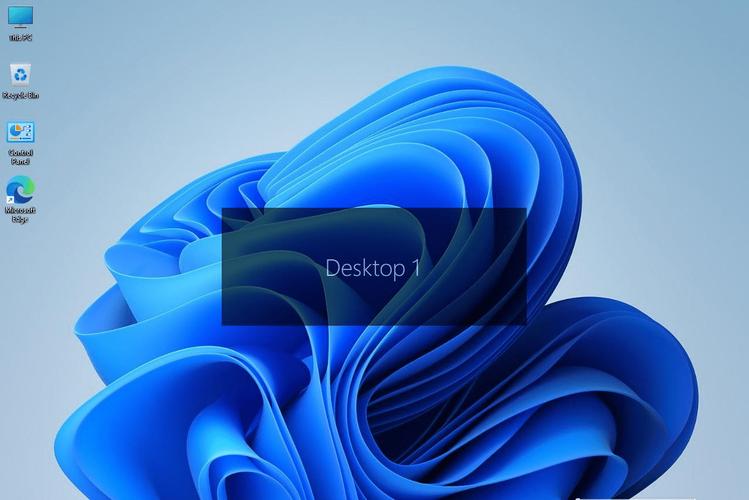 肥胖老奶奶vpswindows