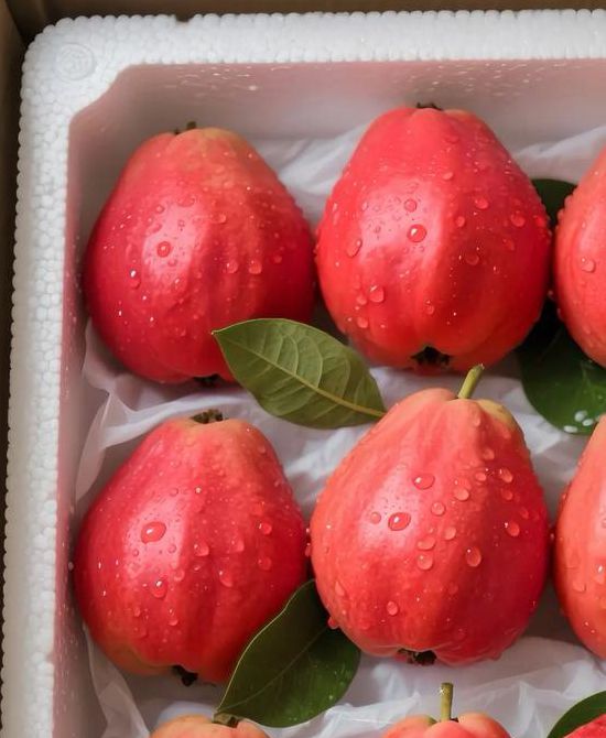 芭乐樱桃榴莲直播