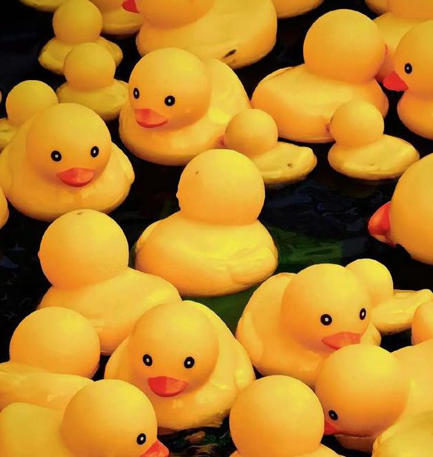 小黄鸭视频