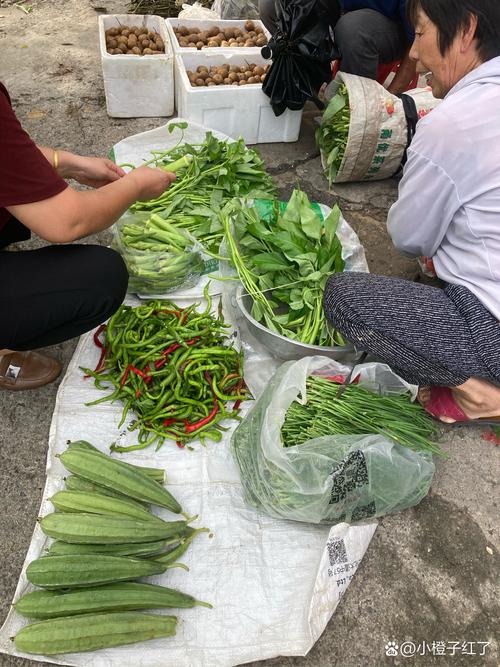 秋葵香草丝瓜榴莲幸福宝最新