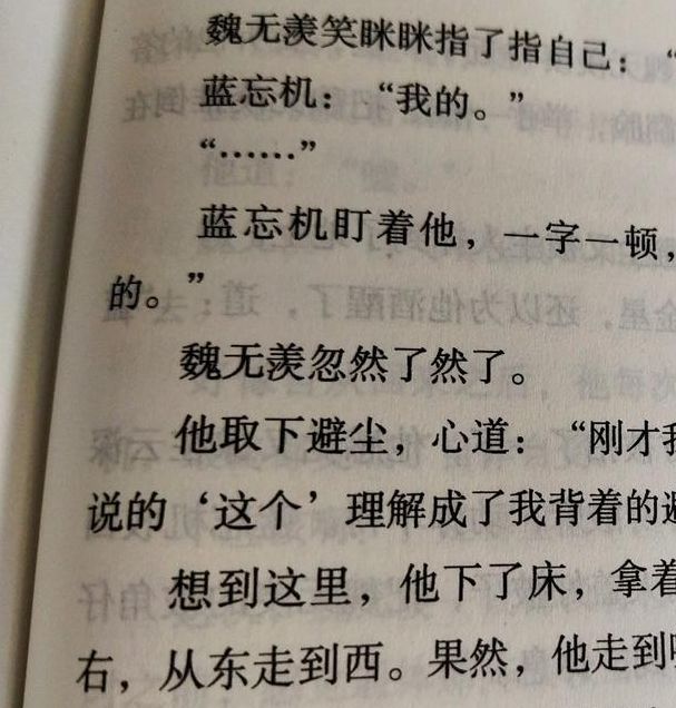 魔道祖师无删减txt下载