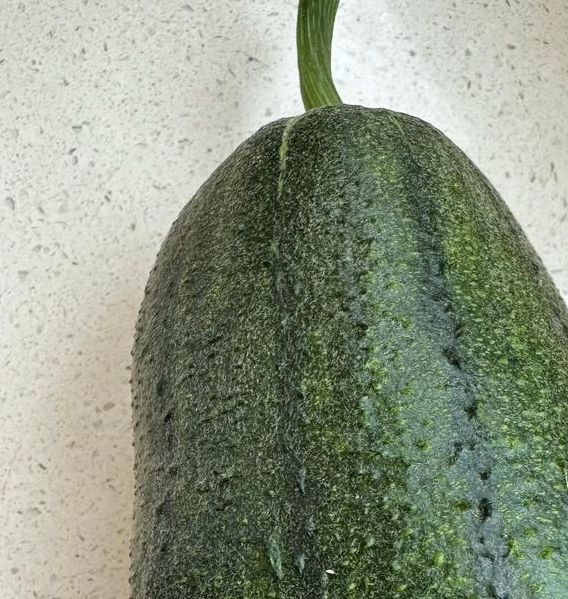 草莓秋葵菠萝蜜黄瓜丝瓜苹果最新版