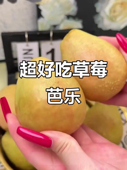 香蕉草莓芭乐鸭脖未满岁:观看番剧的软件