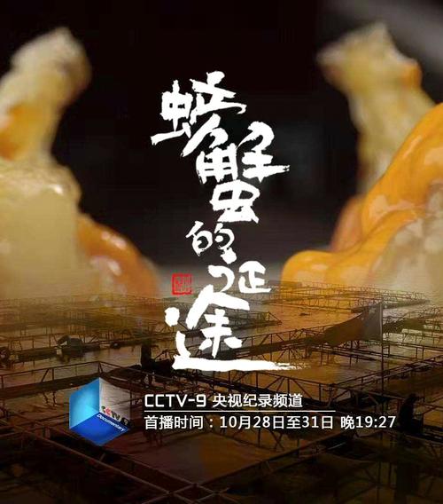 螃蟹影视免费观看