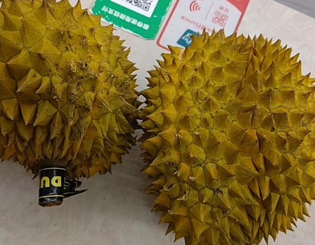 榴莲_ re2.0.apk.免费